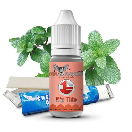 Kaugummi Menthol | ORIGINALS Aroma 100 ml (OWL Style)