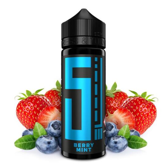 Aroma Berry Mint Longfill - 5EL 10 ml in 120 ml Flasche