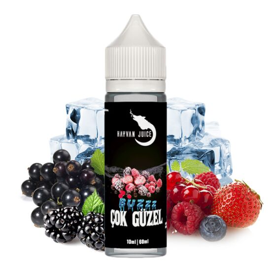 Cok Güzel Aroma | Hayvan Juice 10 ml
