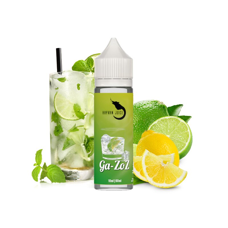 Hayvan Juice - Ga-zoz 10 ml Aroma mit Banderole
