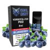 Blueberry Pod | Prefilled Pod 2 ml (OWL SALT Style) 20 mg