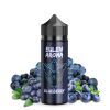 Eulen Aroma Blueberry 100 ml