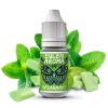 Eulen Aroma Spearmint 10ml