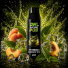Pfirsich Grüner Tee Pod - Prefilled Pod 2 ml (Kompatibel mit OWL Nature Pod & Ultrapod)